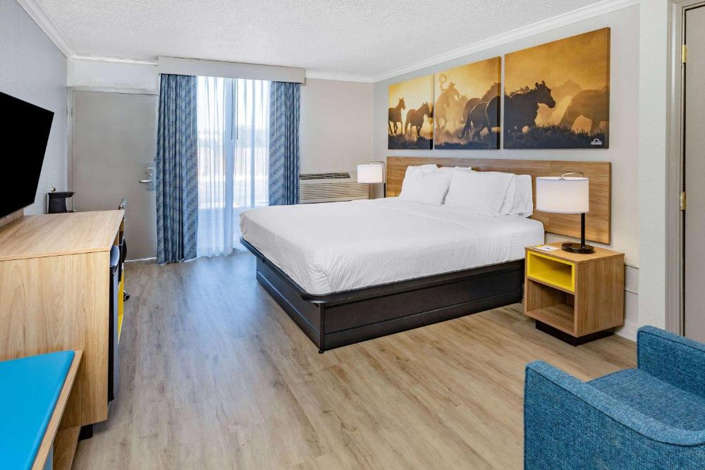 King Room - Disability Access interior